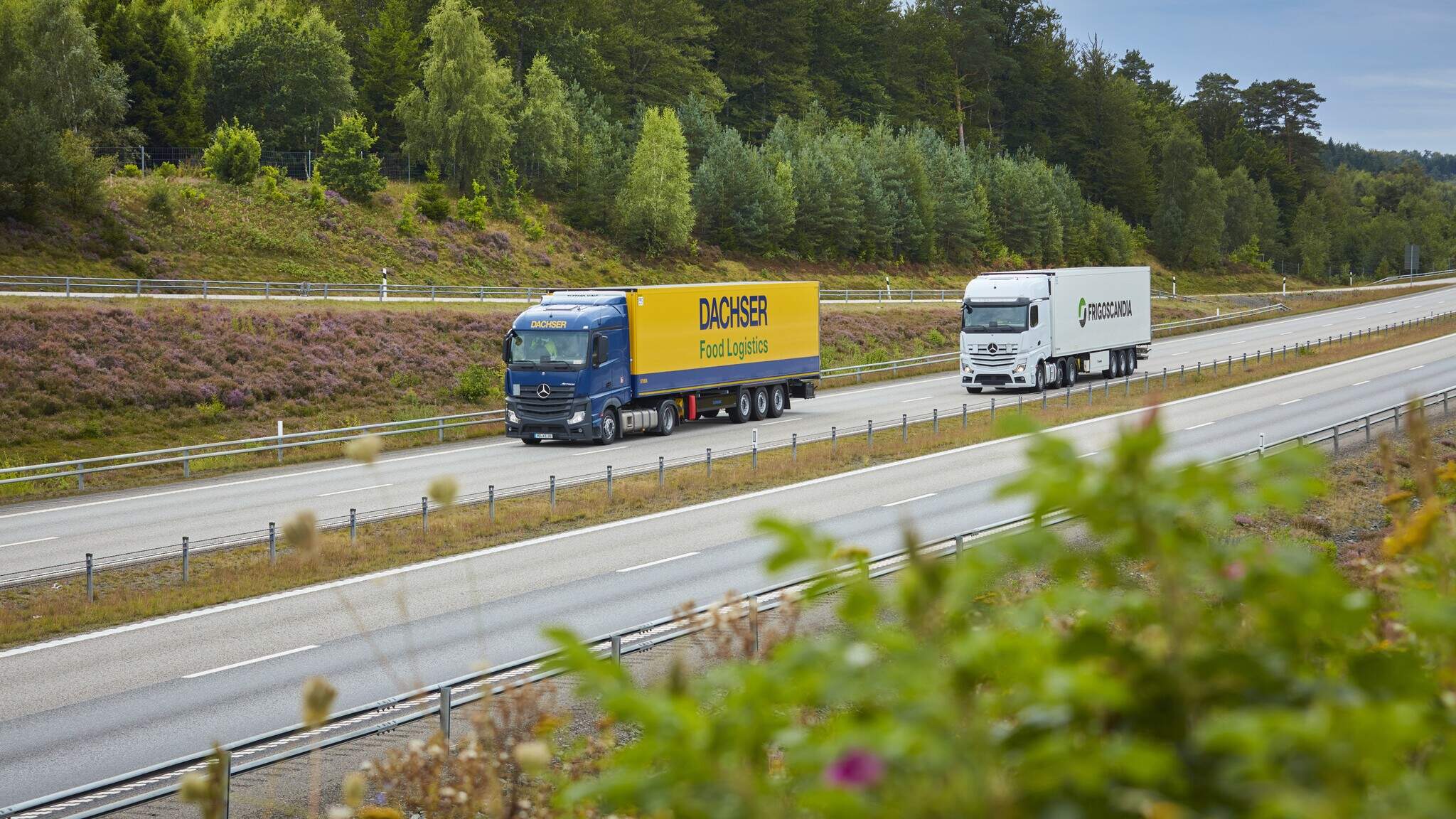 DACHSER und Frigoscandia verzahnen ihre Transportnetzwerke und st&auml;rken damit die Lebensmittellogistik in Nordeuropa.