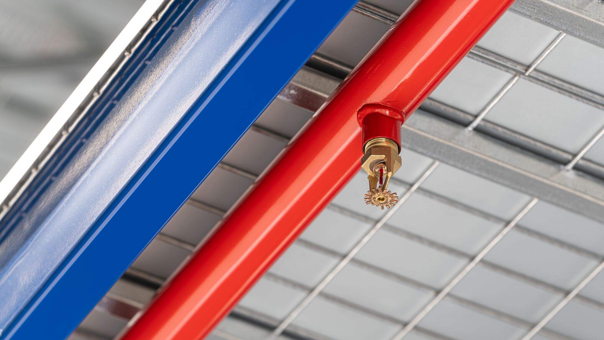 Alle Regale in Rastatt verfügen über höchsten Brandschutz.