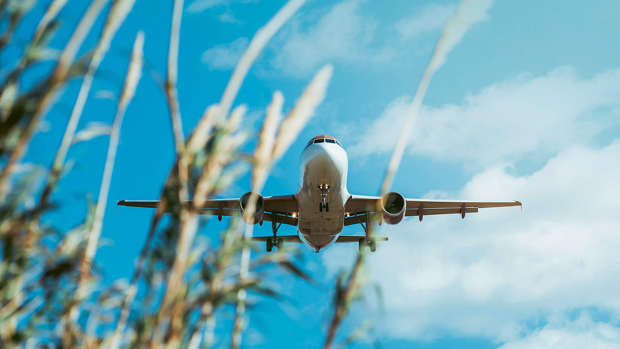 Nachhaltige Kraftstoffe reduzieren die CO₂-Emissionen von Flugzeugen.