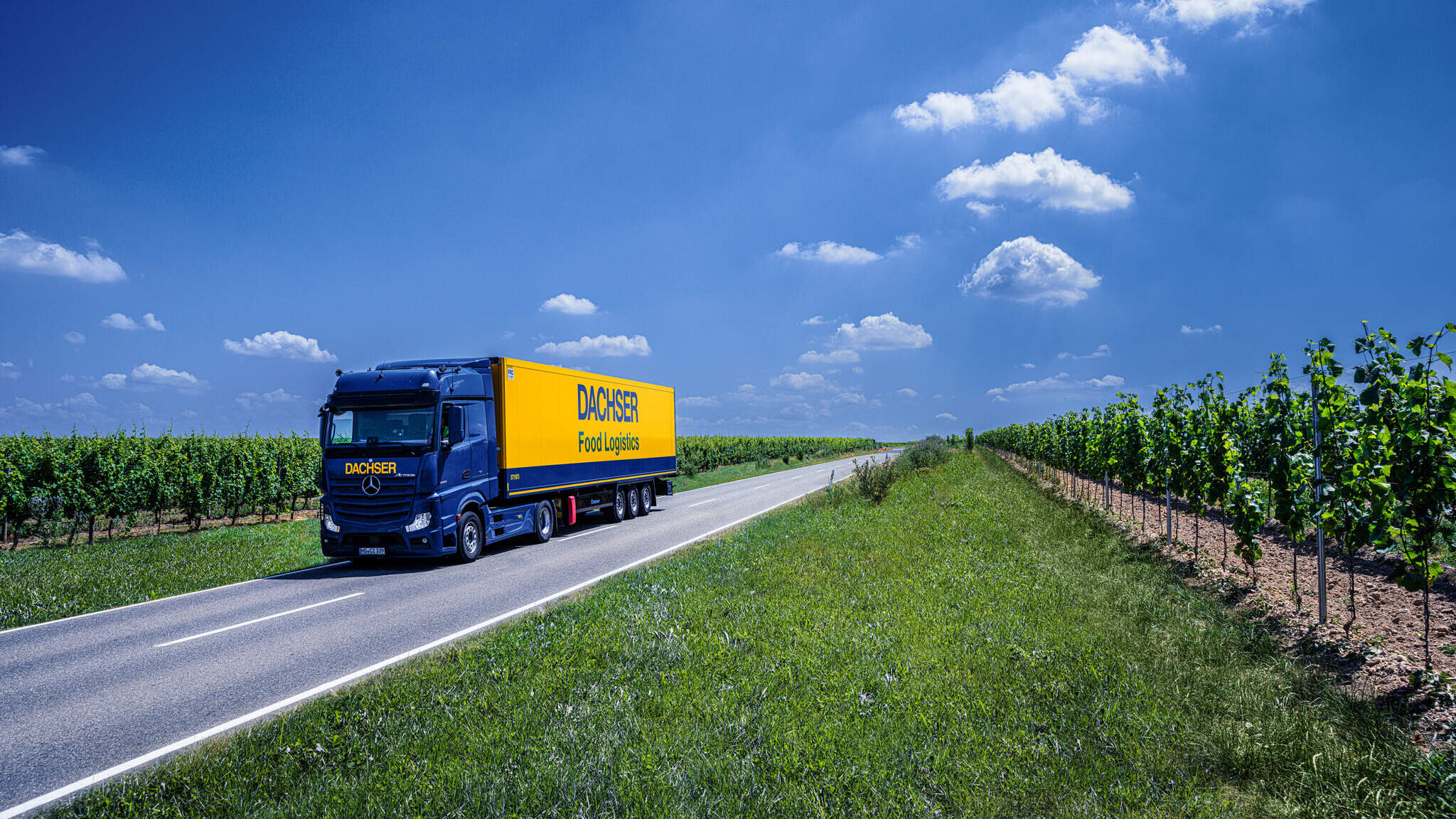 DACHSER unterwegs in den Weinbergen
